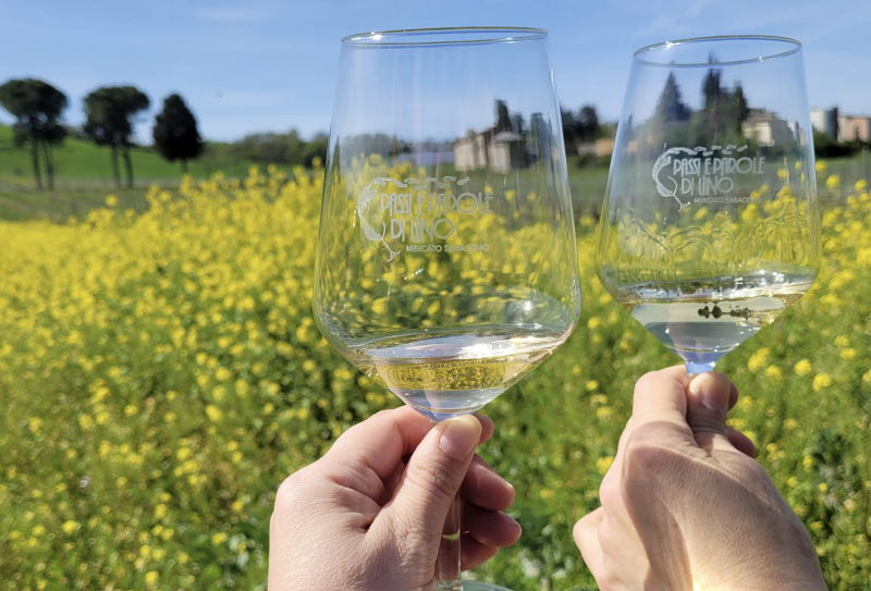 Passi e parole di vino a Mercato Saraceno
